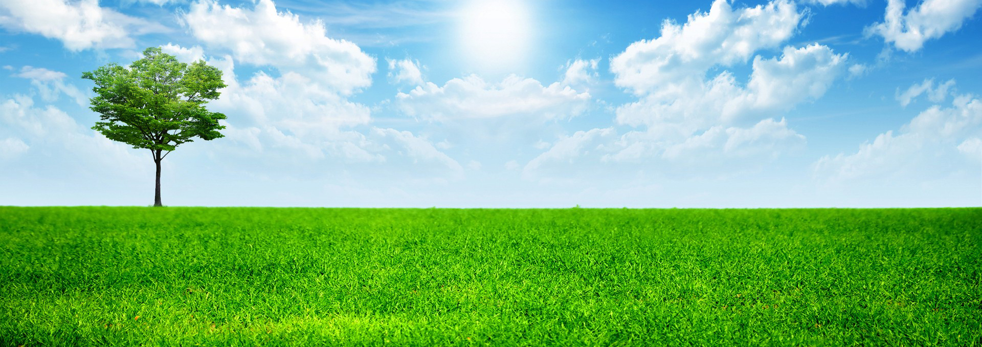 Green-Natural-nice-1080p-photo